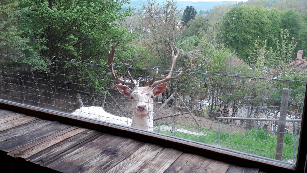 Ausblick BollAnts Spa im Park
