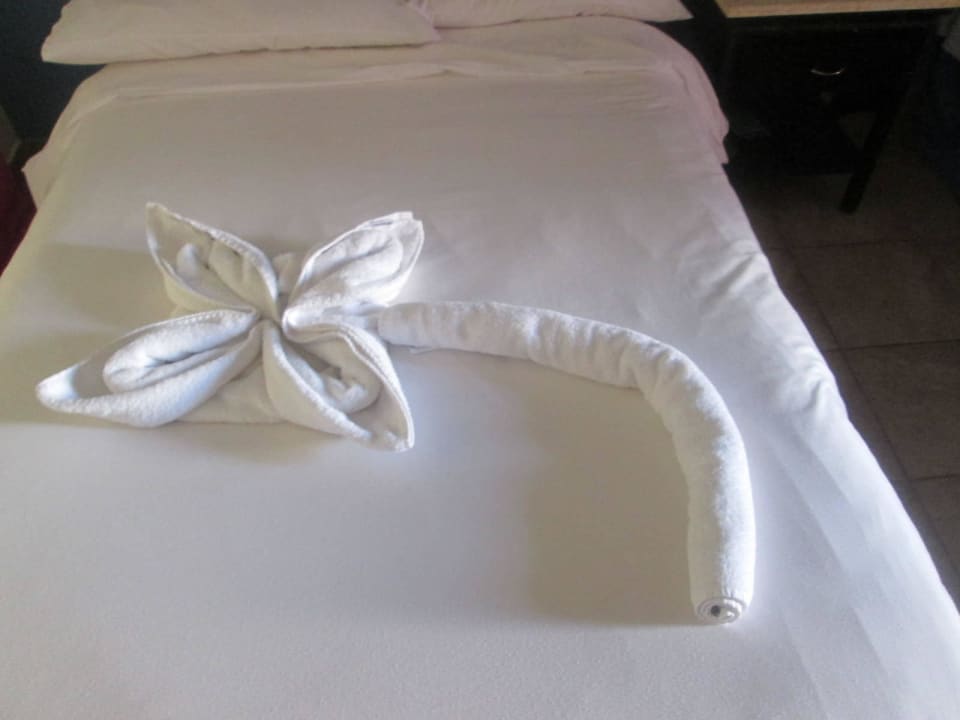 Kwiatek Parrotel Aqua Park Resort