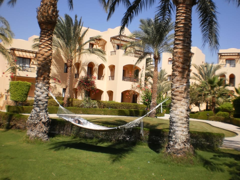 Installation de hamac Steigenberger Coraya Beach - Adults only