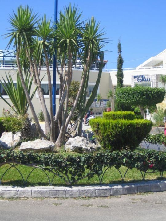 Einfahrt Corali Hotel