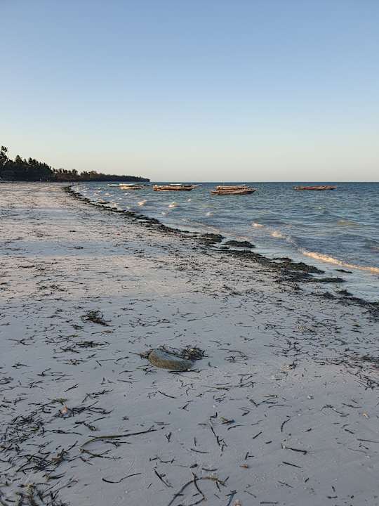 Strand Dream of Zanzibar