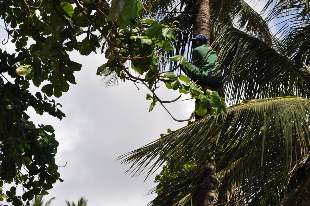 Hotel Neptune Paradise Beach Resort & Spa