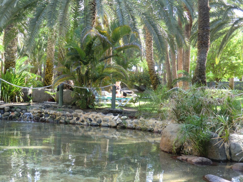 Garten mit Teich  Hotel Riu Palace Oasis