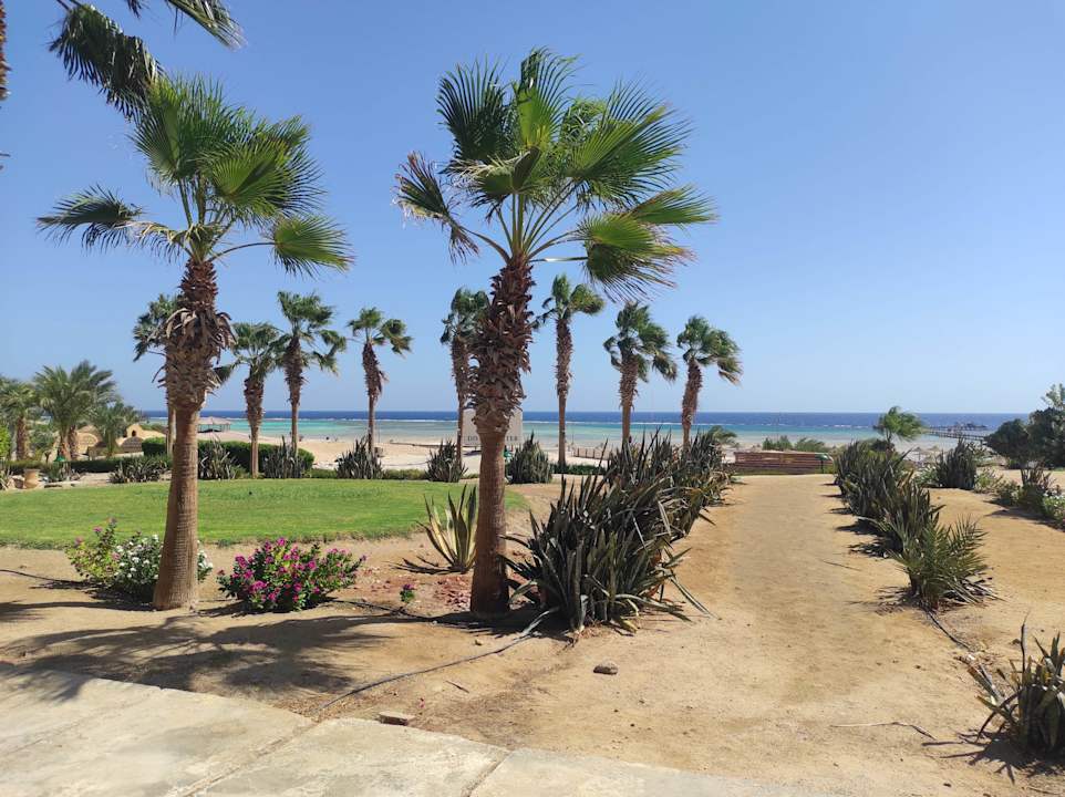 Gartenanlage Three Corners Fayrouz Plaza Beach Resort