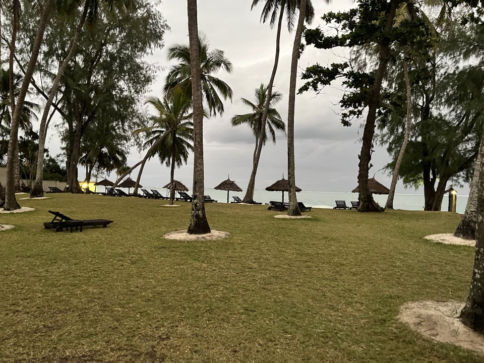 Gartenanlage Hotel Diani Sea Lodge