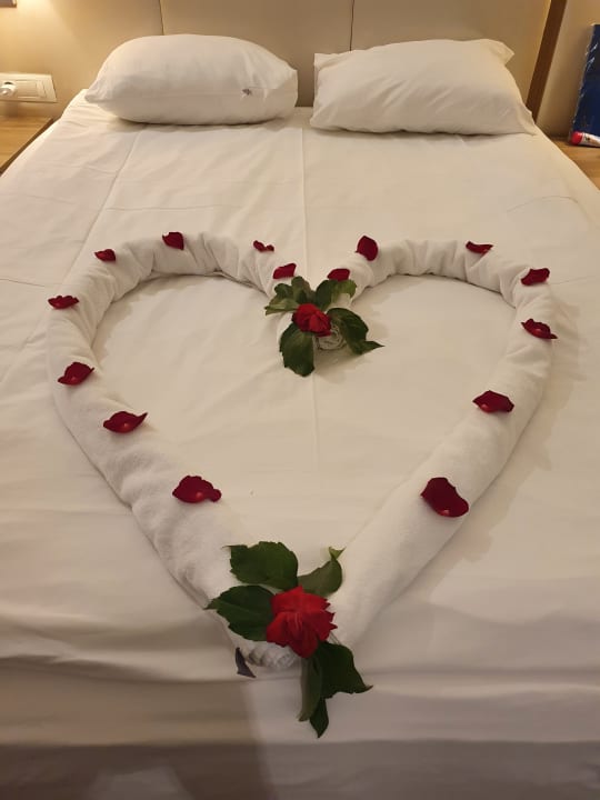 Zimmer Hotel Botanik Platinum