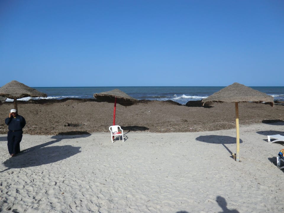 3 Tage lang war der Strand voller Algen Hotel El Mouradi Cap Mahdia
