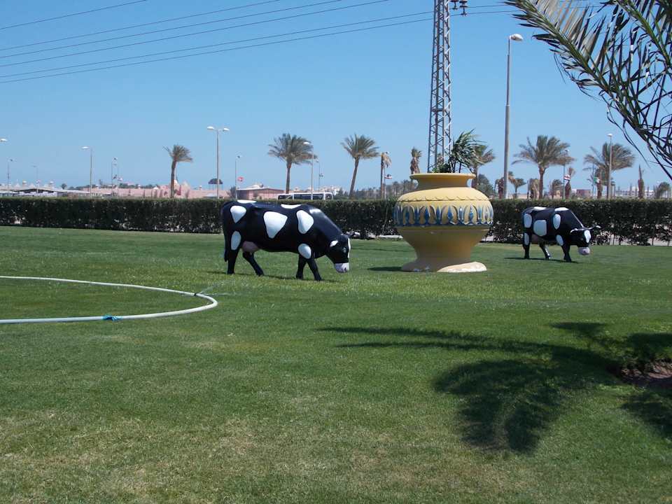 Коровки Pickalbatros Alf Leila Wa Leila Resort - Neverland Hurghada