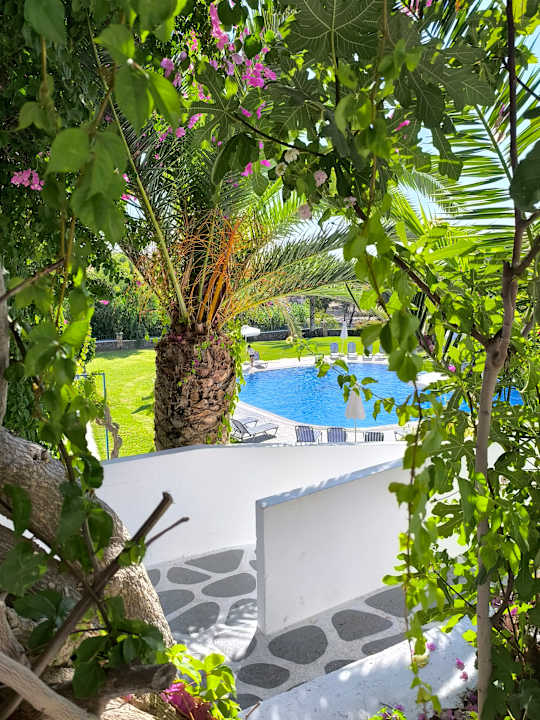 Pool Ekaterini Hotel