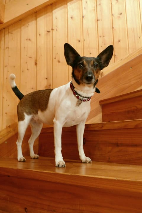 Sonstiges Ferienparadies am Rennweg