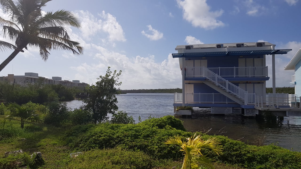 Gartenanlage Hotel Melia Cayo Coco - Adults only