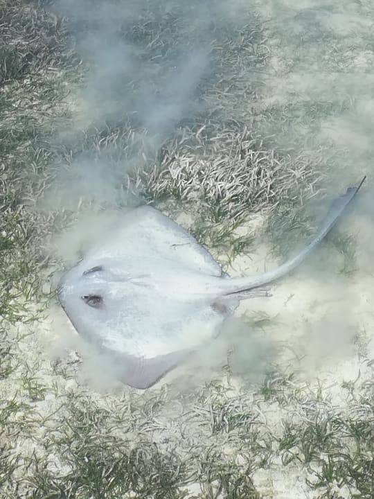 Strand Adaaran Select Hudhuran Fushi - Premium All Inclusive