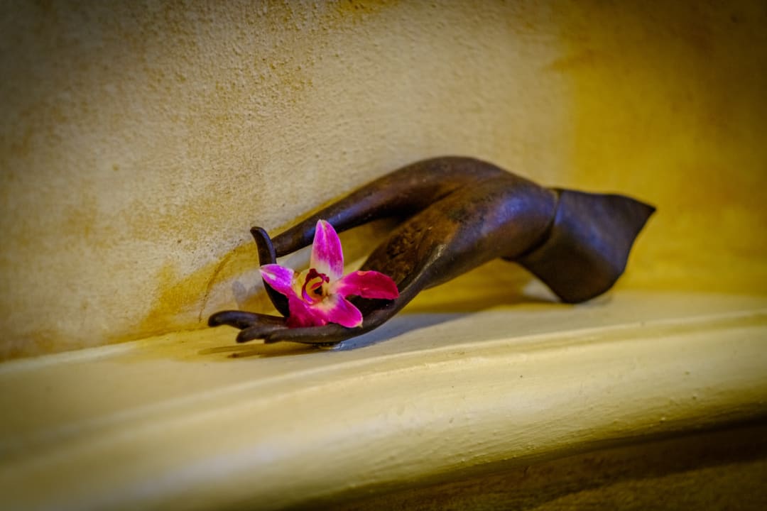 Gastro Zazen Boutique Resort & Spa