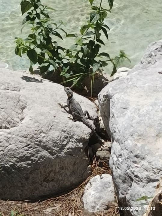 Gartenanlage Asteria Family Belek