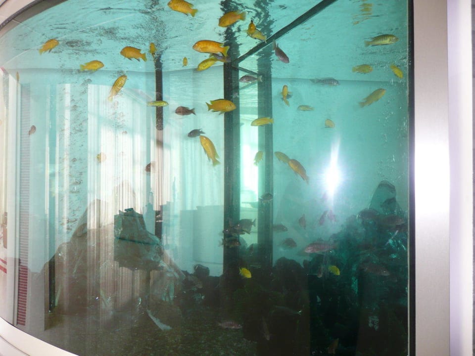 Aquarium in der Lobby Elysium Resort & Spa Hotel