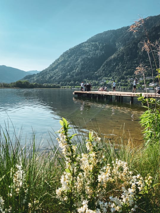 Ausblick ROBINSON LANDSKRON