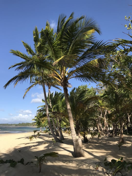 Strand Bahia Principe Grand El Portillo