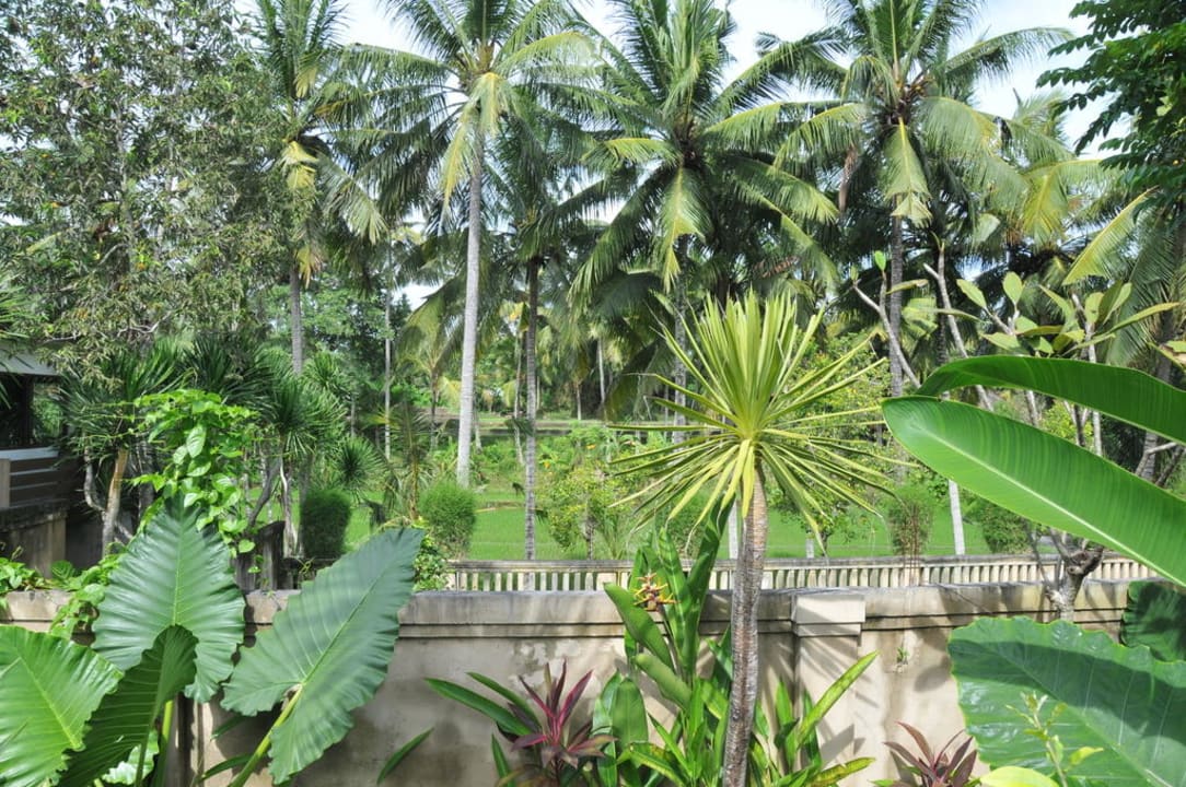 Sicht aus der Villa in den Garten The Ubud Village Resort & Spa