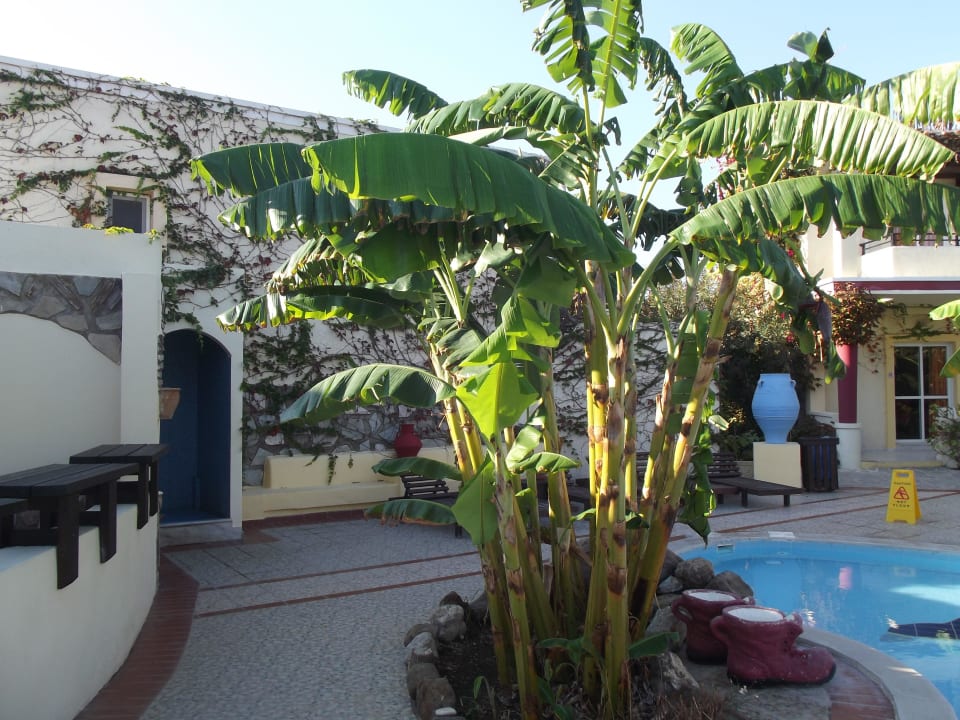 Poolanlage Apollon Hotel