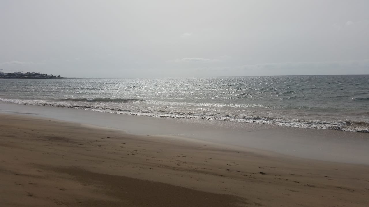 Strand Relaxia Olivina