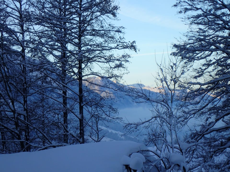 Ausblick Hotel-Pension Ötzmooshof