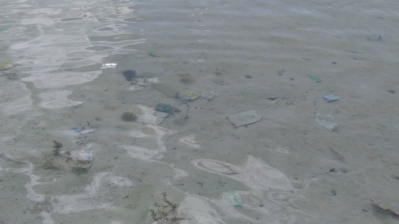 Auch im Wasser nur Müll. Nicht zum Baden geeeignet whala!boca chica