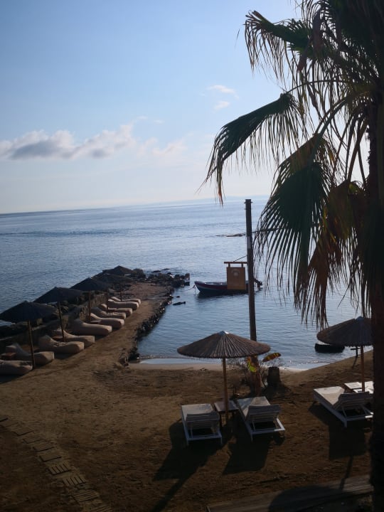 Strand Alexandra Beach Resort & Spa