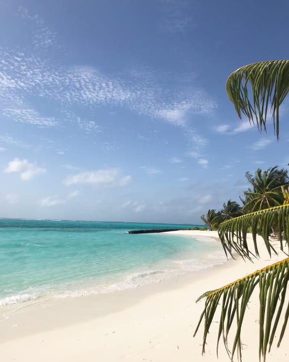 Strand Summer Island Maldives