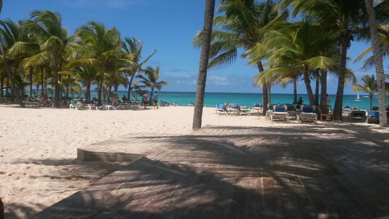 Ausblick Hotel Riu Palace Punta Cana