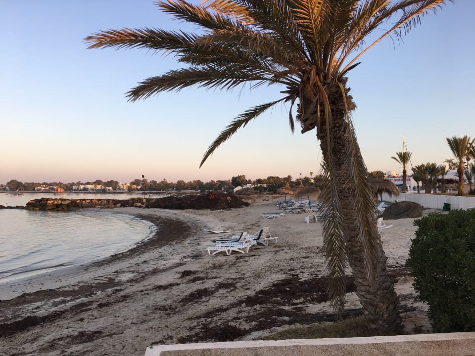 Strand Hotel El Mouradi Djerba Menzel