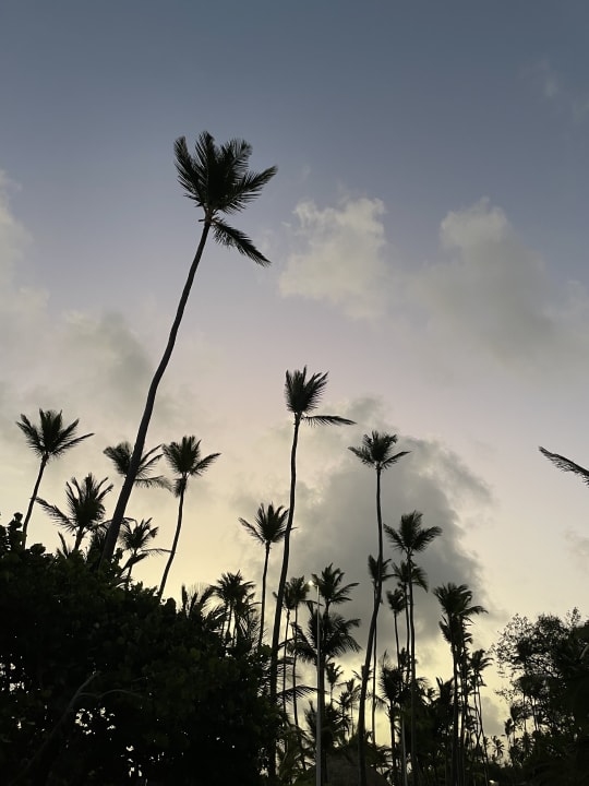 Gartenanlage Grand Palladium Select Bávaro Resort & Spa