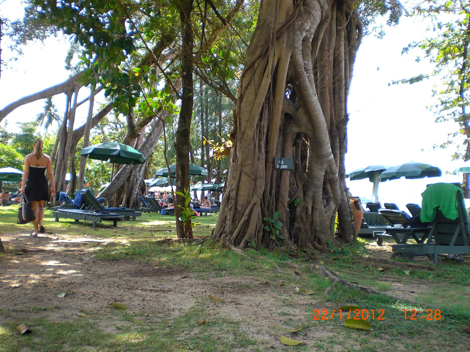 Strand Khao Lak Merlin Resort