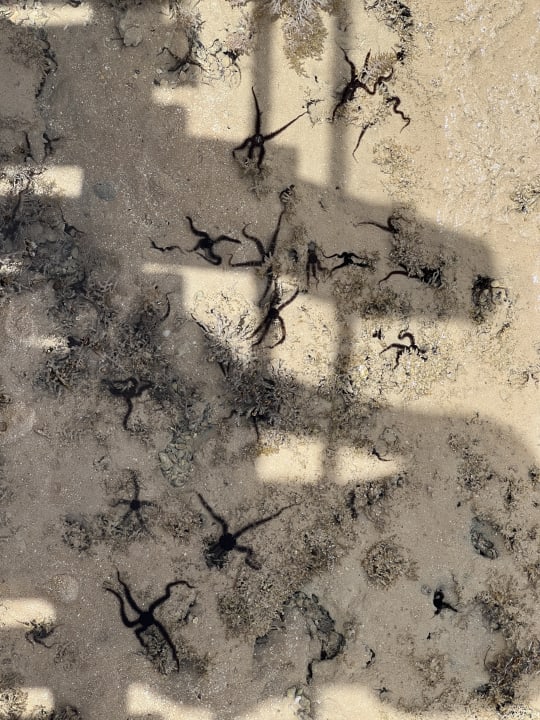 Strand Stella Garden Resort & Spa, Makadi Bay