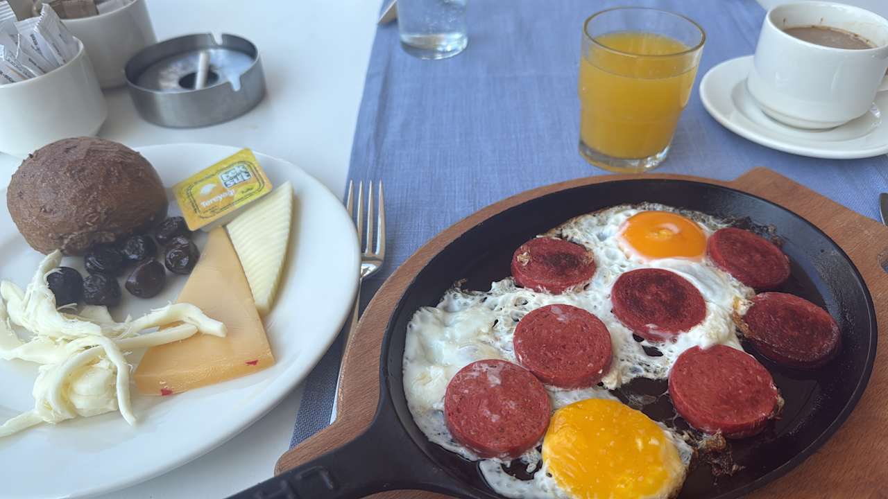 Gastro Seashell Vega