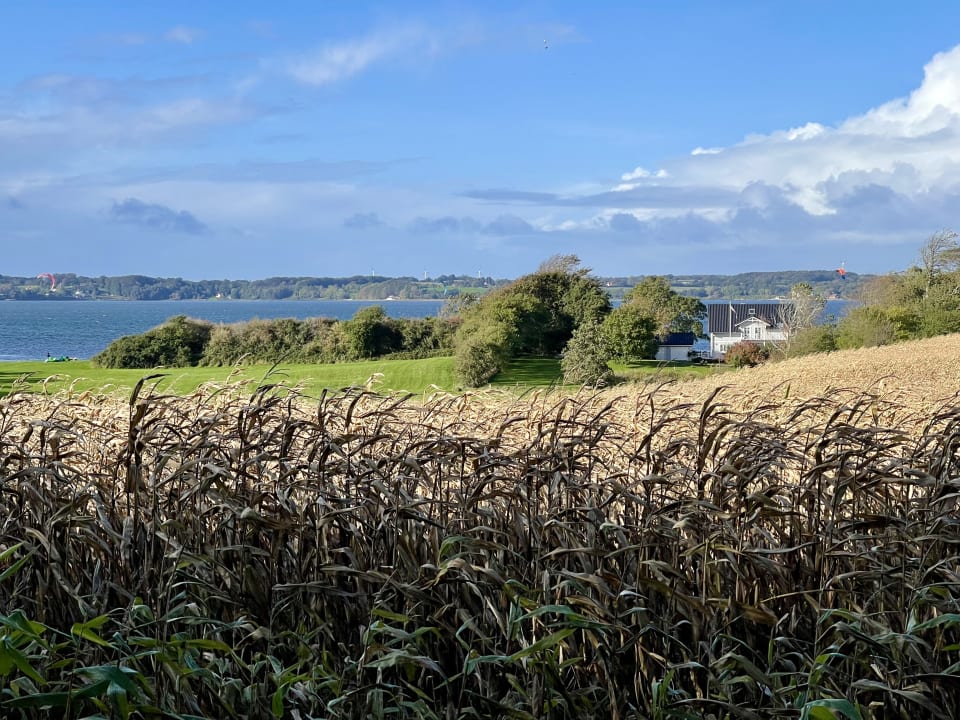 Außenansicht Hotel Knurrhahn