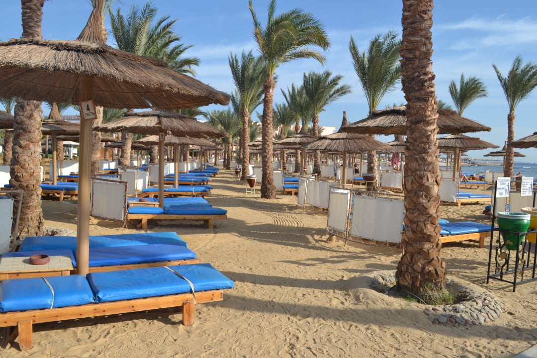 Sehr gepflegter sauberer Strand Pickalbatros Palace Resort