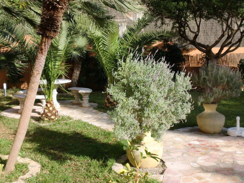 Garten bei Kinderpool BQ Bulevar Paguera - Adults only