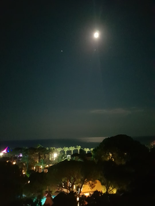 Ausblick Papillon Ayscha