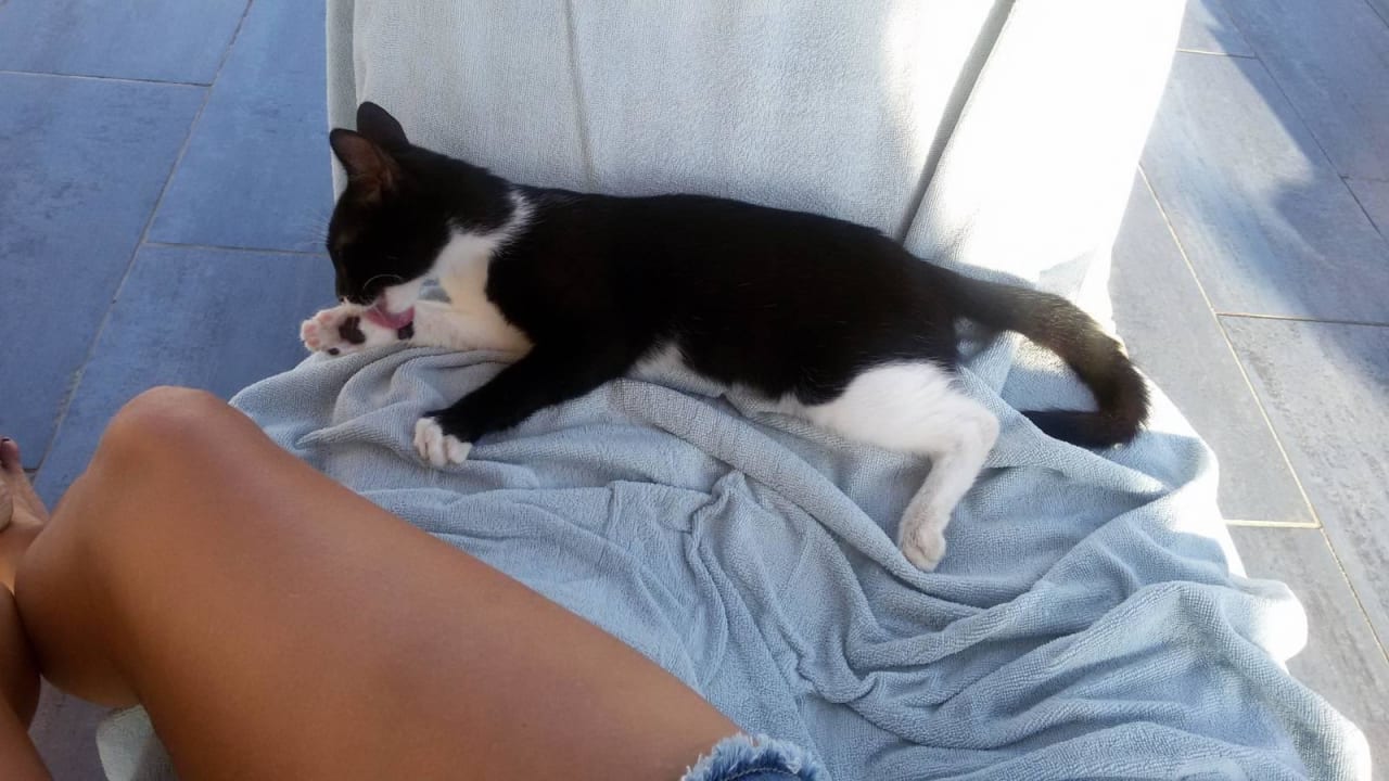 Morgendlicher Gast Salmakis Resort & Spa