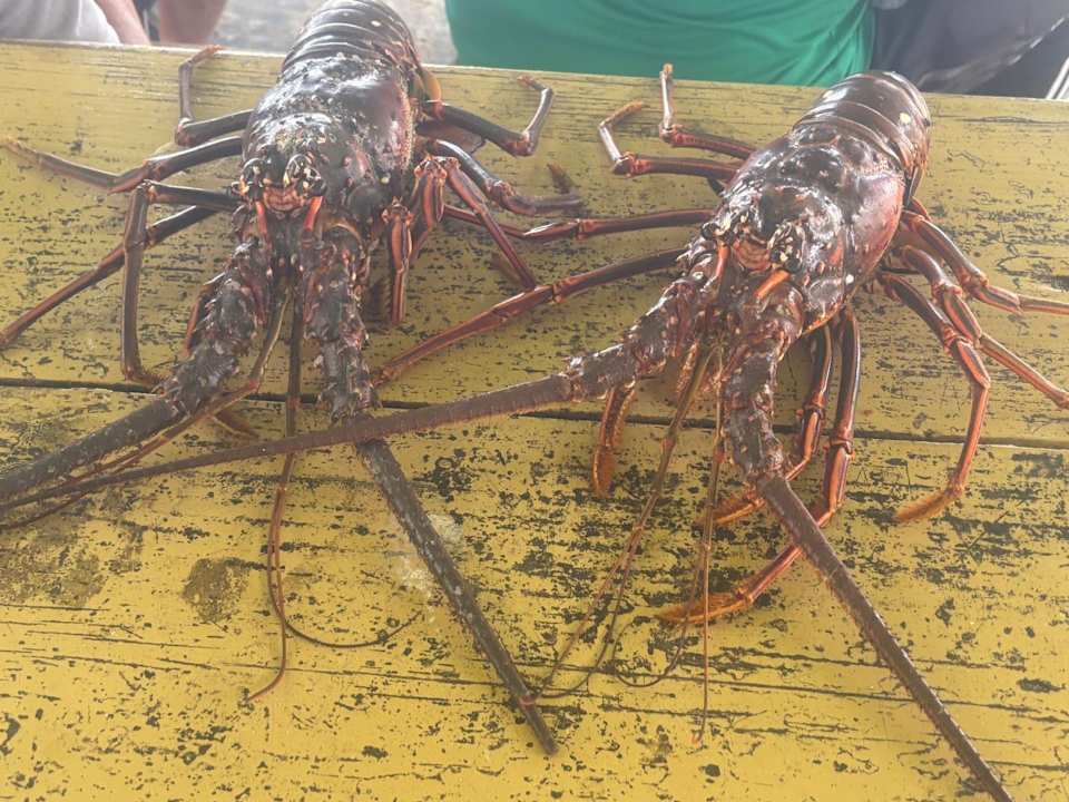 Gastro Dreams Flora Resort & Spa - All Inclusive