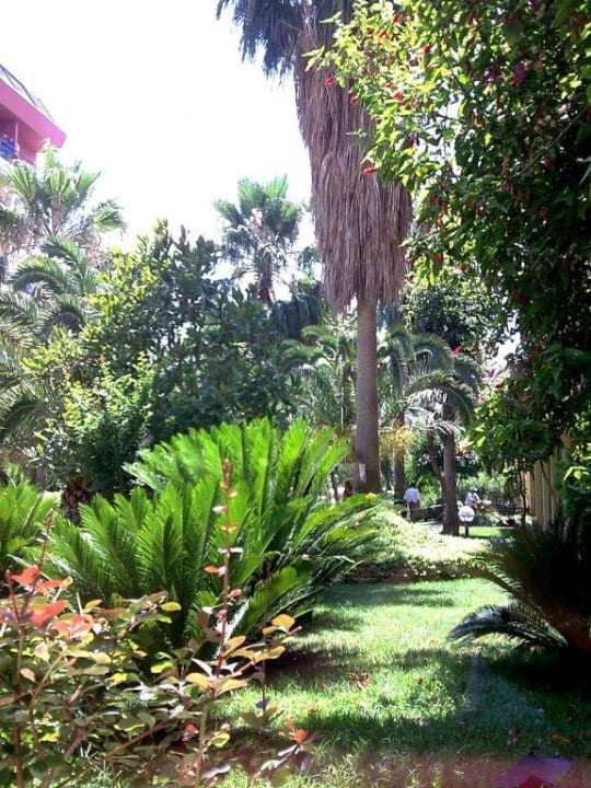 Innenhof Hotel Meryan