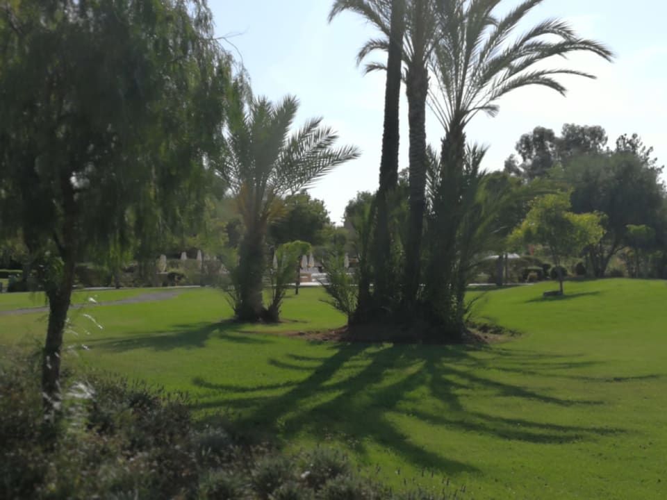 Gartenanlage Iberostar Waves Club Palmeraie Marrakech