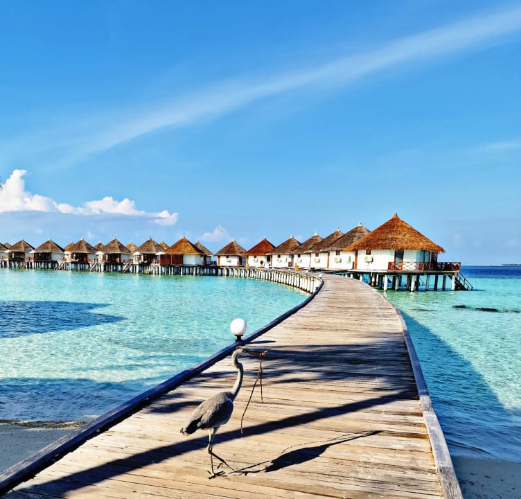 Außenansicht Safari Island Maldives