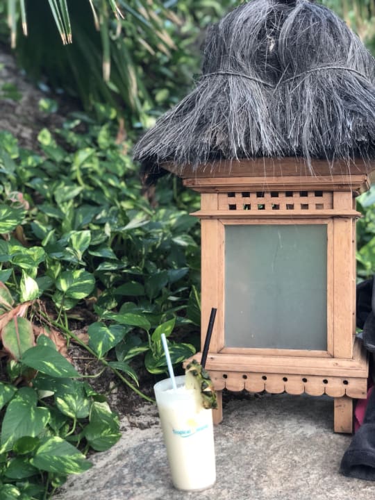Sonstiges Tropical Islands Resort