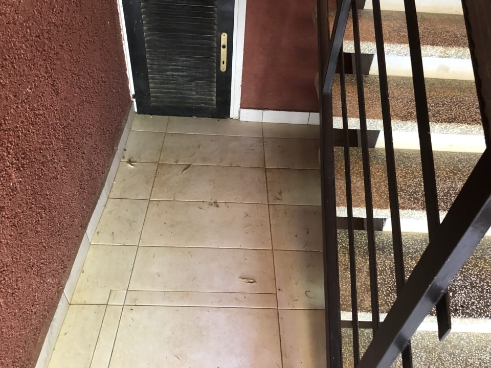 Zimmer Apartments Katoro Plava Laguna