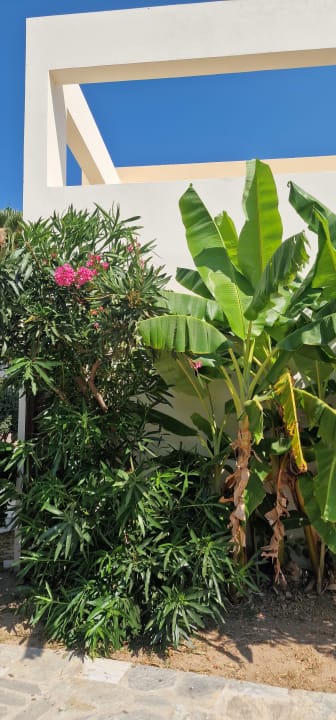 Gartenanlage Natura Park Village Hotel & Spa