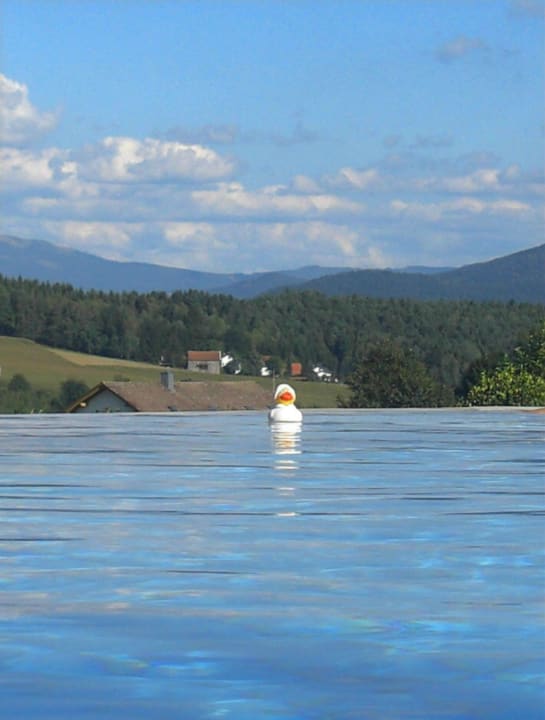 Infinitypool: für Badeenten geeignet! Hotel Bayerwaldhof