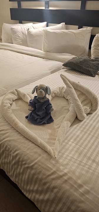 Zimmer El Karma Aqua Beach Resort