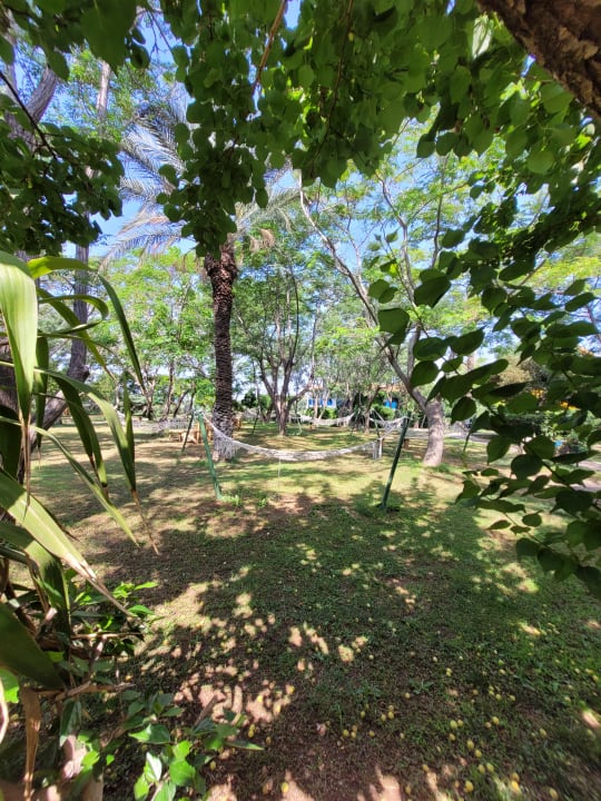 Gartenanlage Belconti Resort Hotel