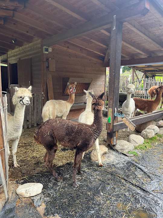 Gartenanlage Natur Resort Rissbacher